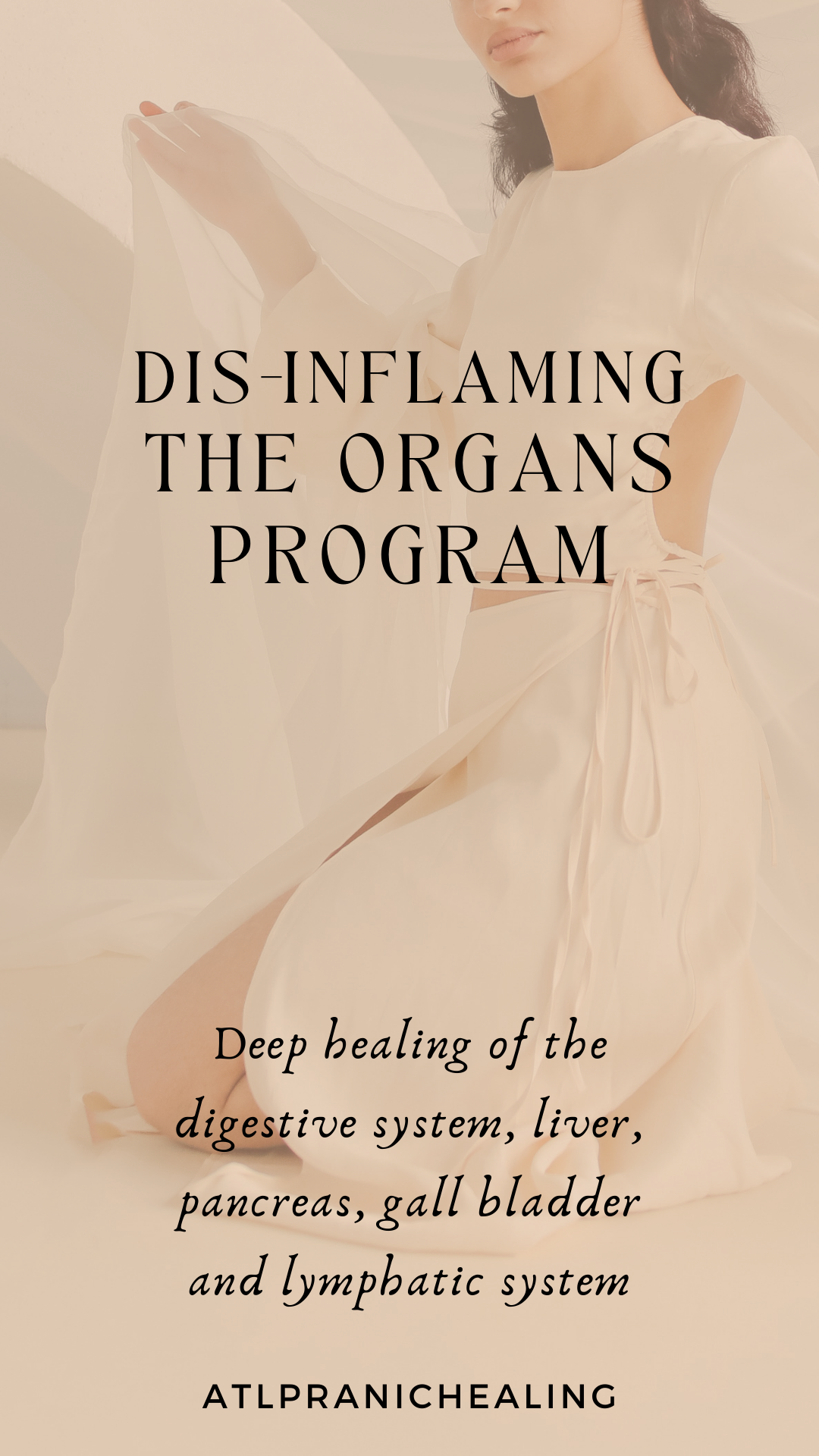 Dis-Inflaming the organs Program.png