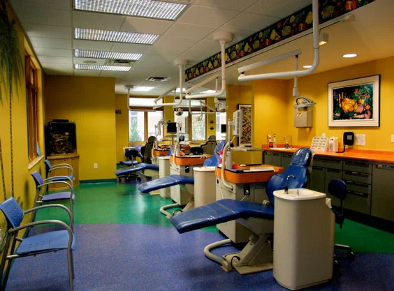 Dr. Lisa Alvetro DDS | Sidney, OH