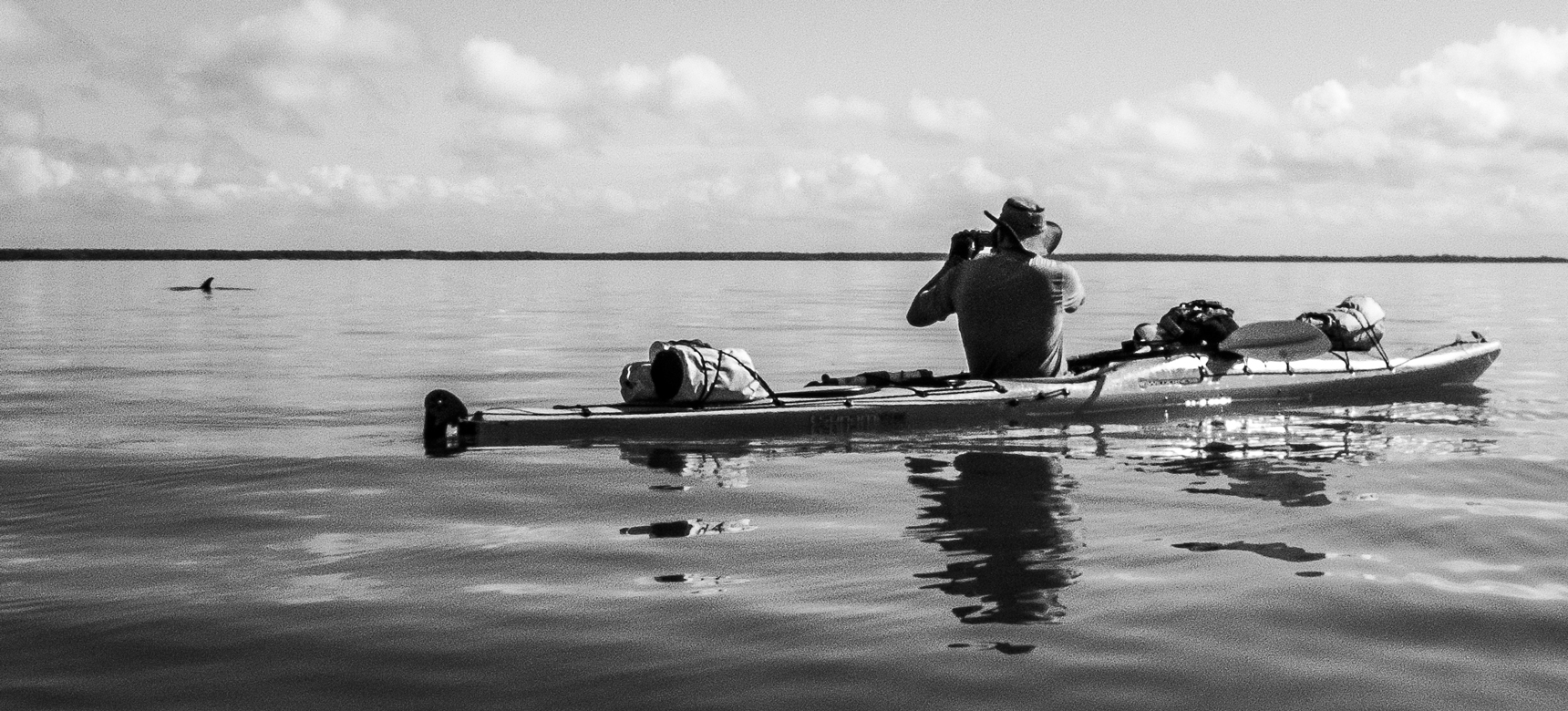 Dooley Photographing Dolphin