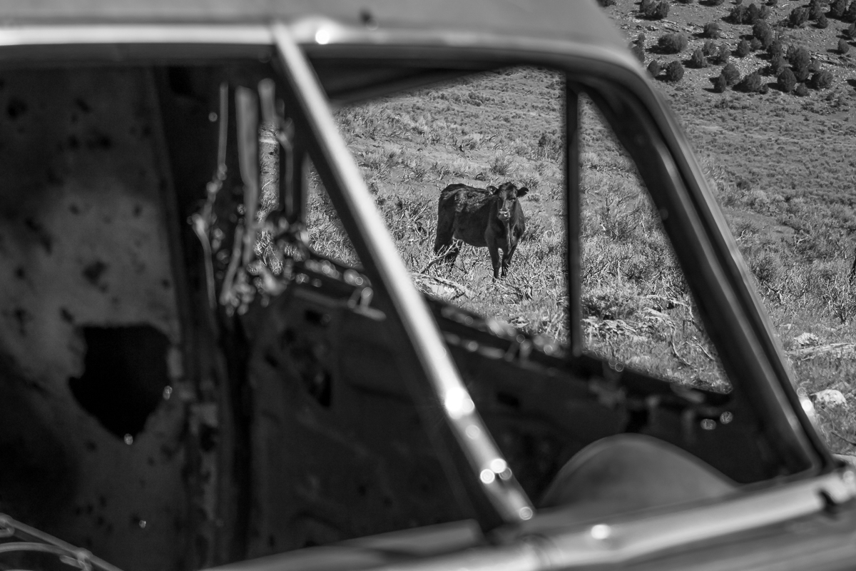 Colorado Past on the Open Range