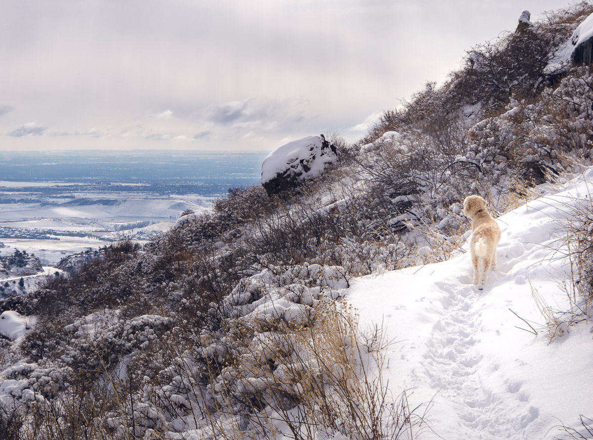 "Hiking the Snow on Matthew Winter's Trail" 