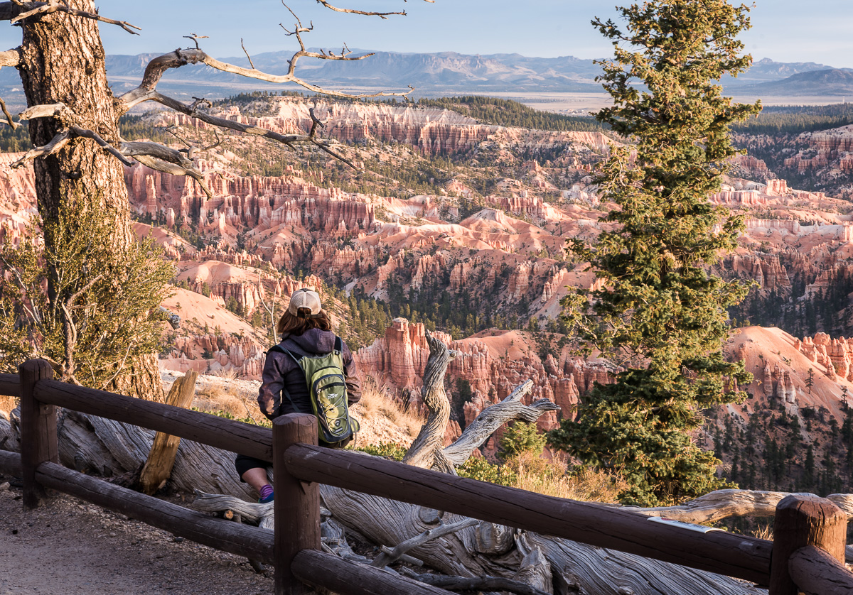 Reflective above Bryce Canyon