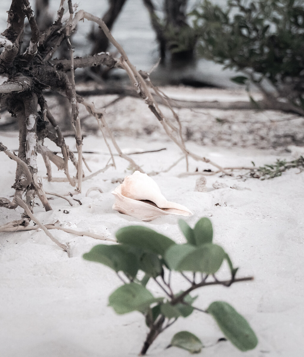 Tranquil on the Beach