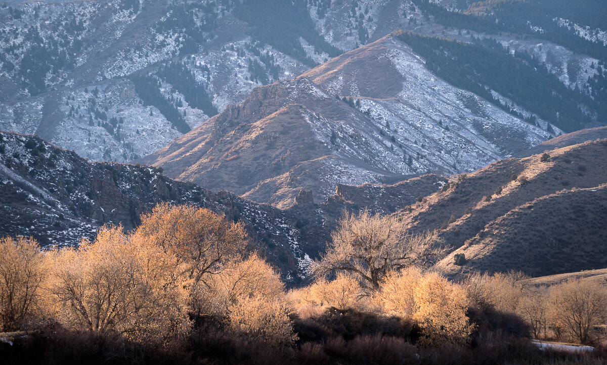 Winter's Light on Front Range Foothills