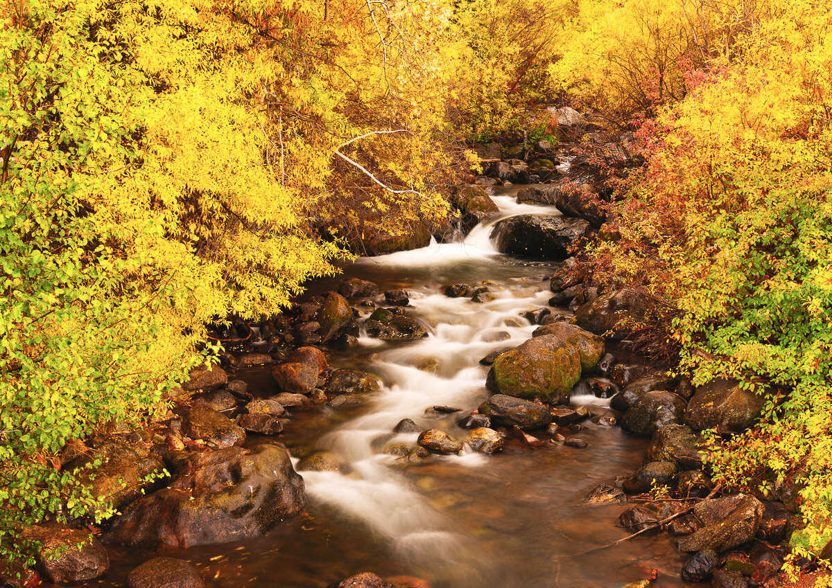 Autumn Color on East Brush Creek