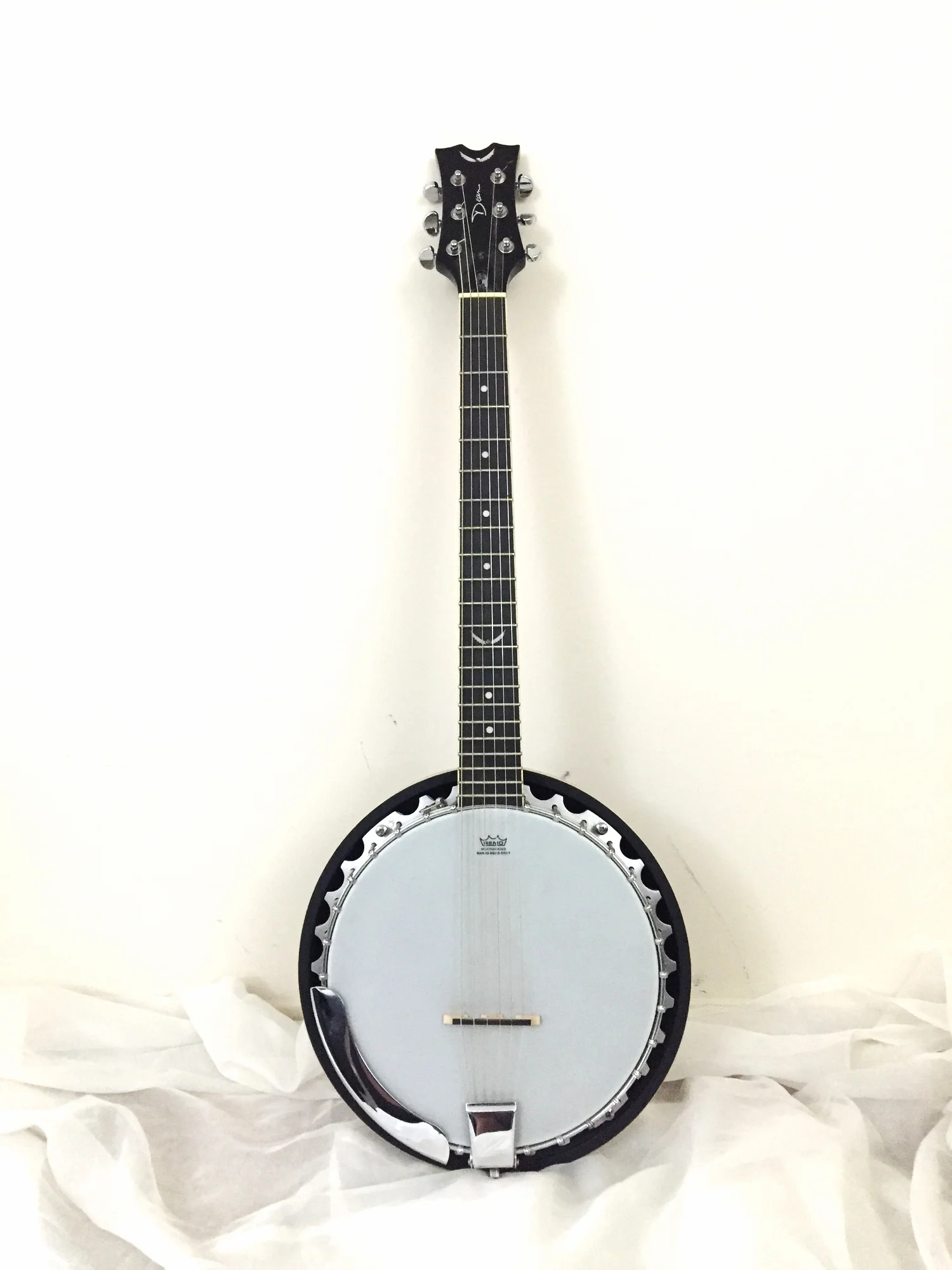 Dean Backwoods Banjo