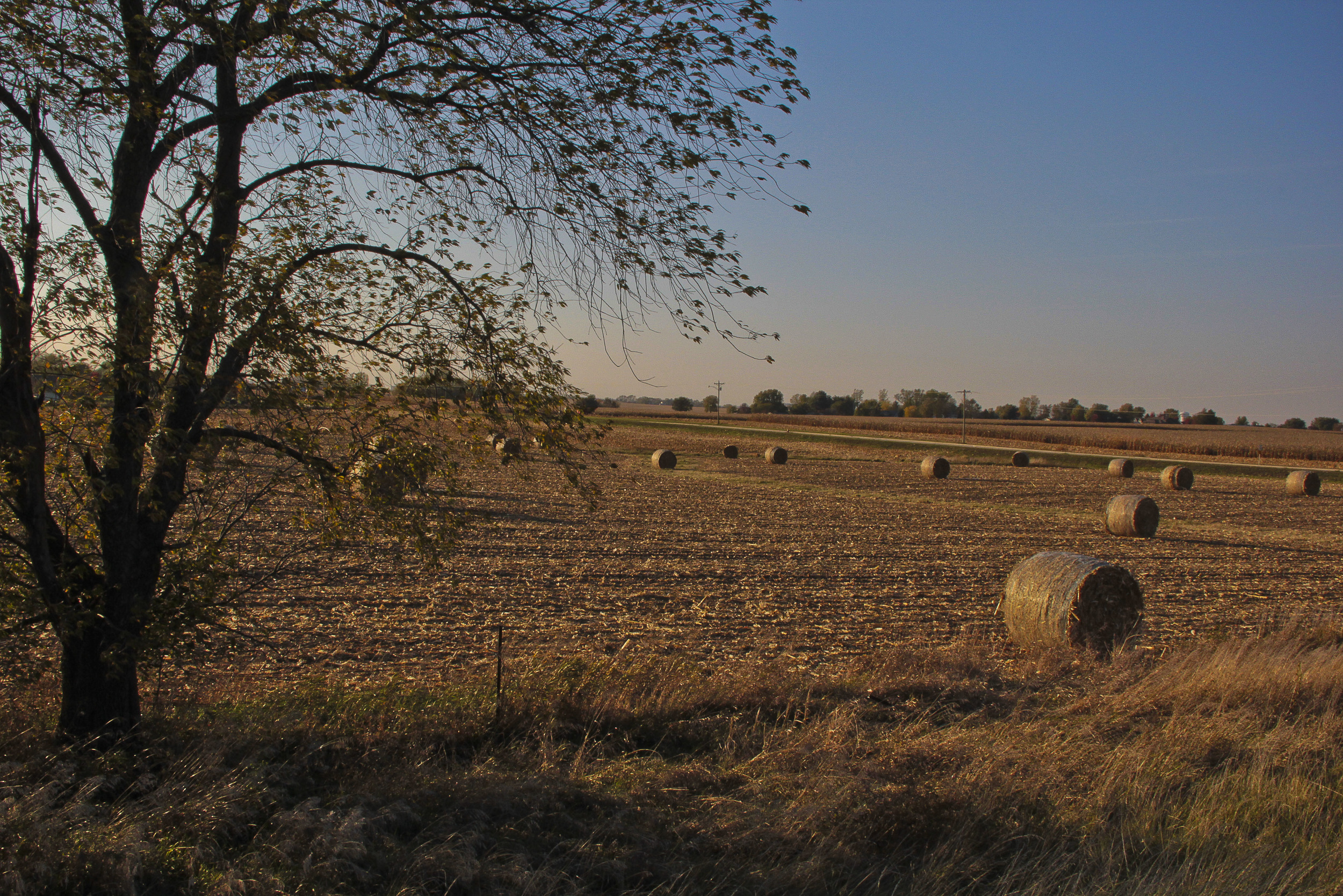 Countryside Coralville, Iowa