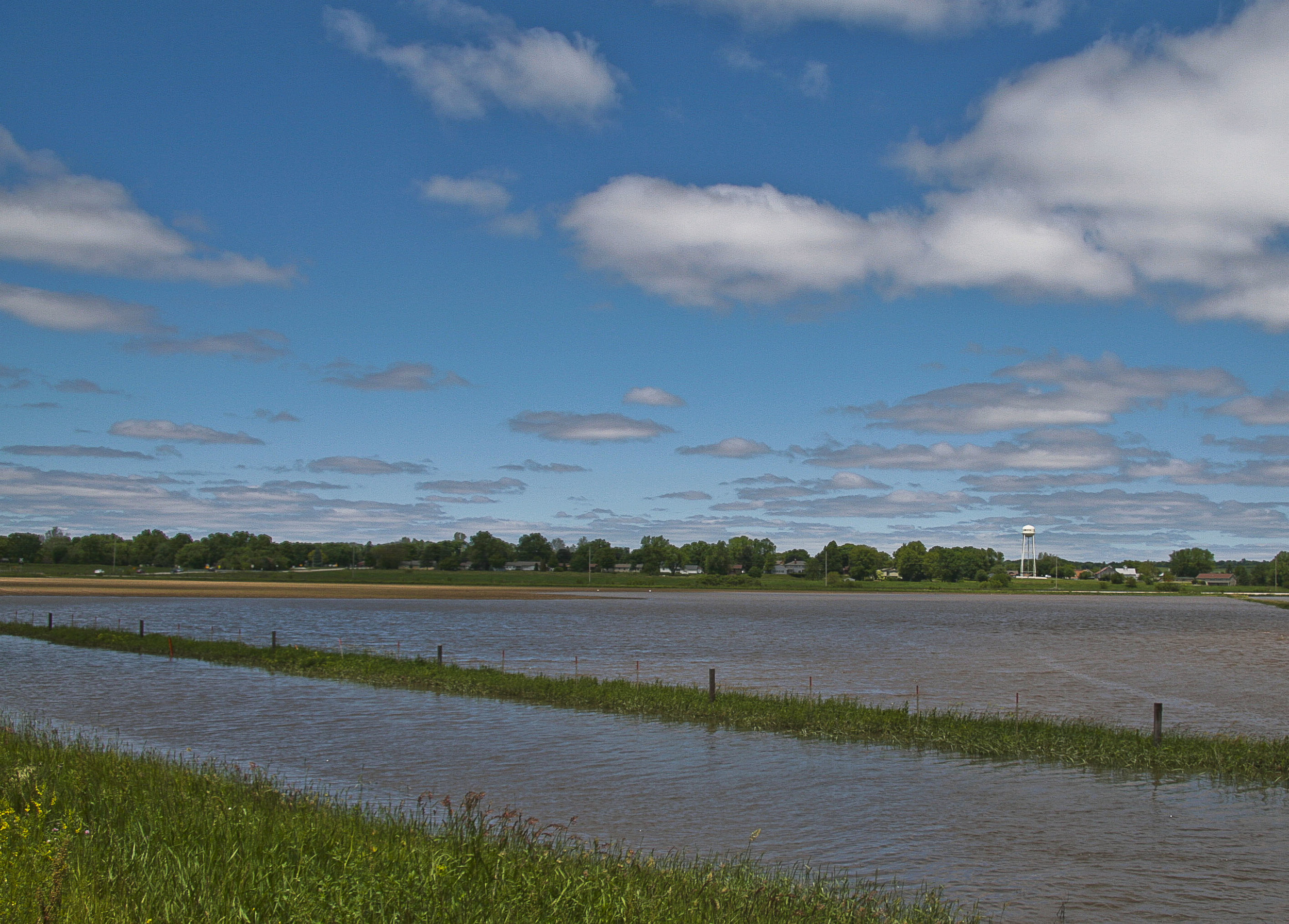 Flood Near Kalona, Iowa