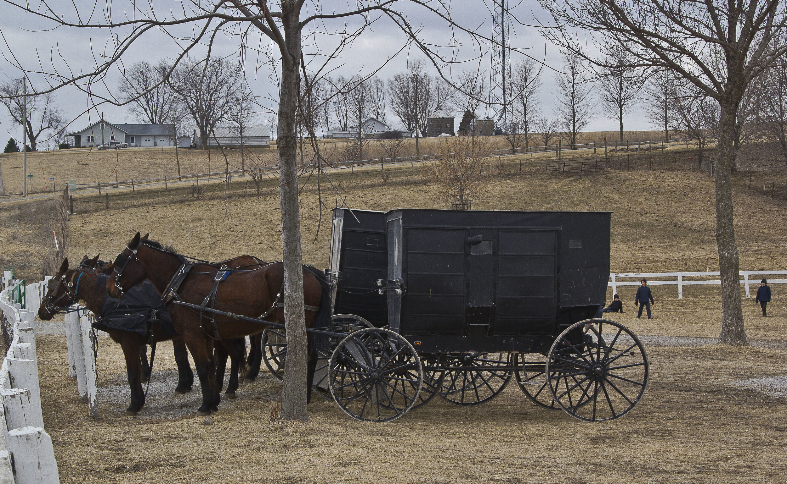 School´s Parking Zone,  Kalona, Iowa