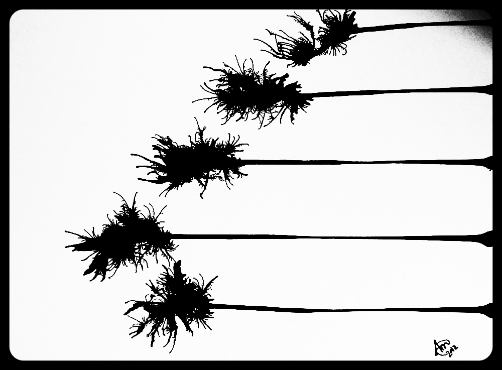 #44 Music Vibration *SOLD*