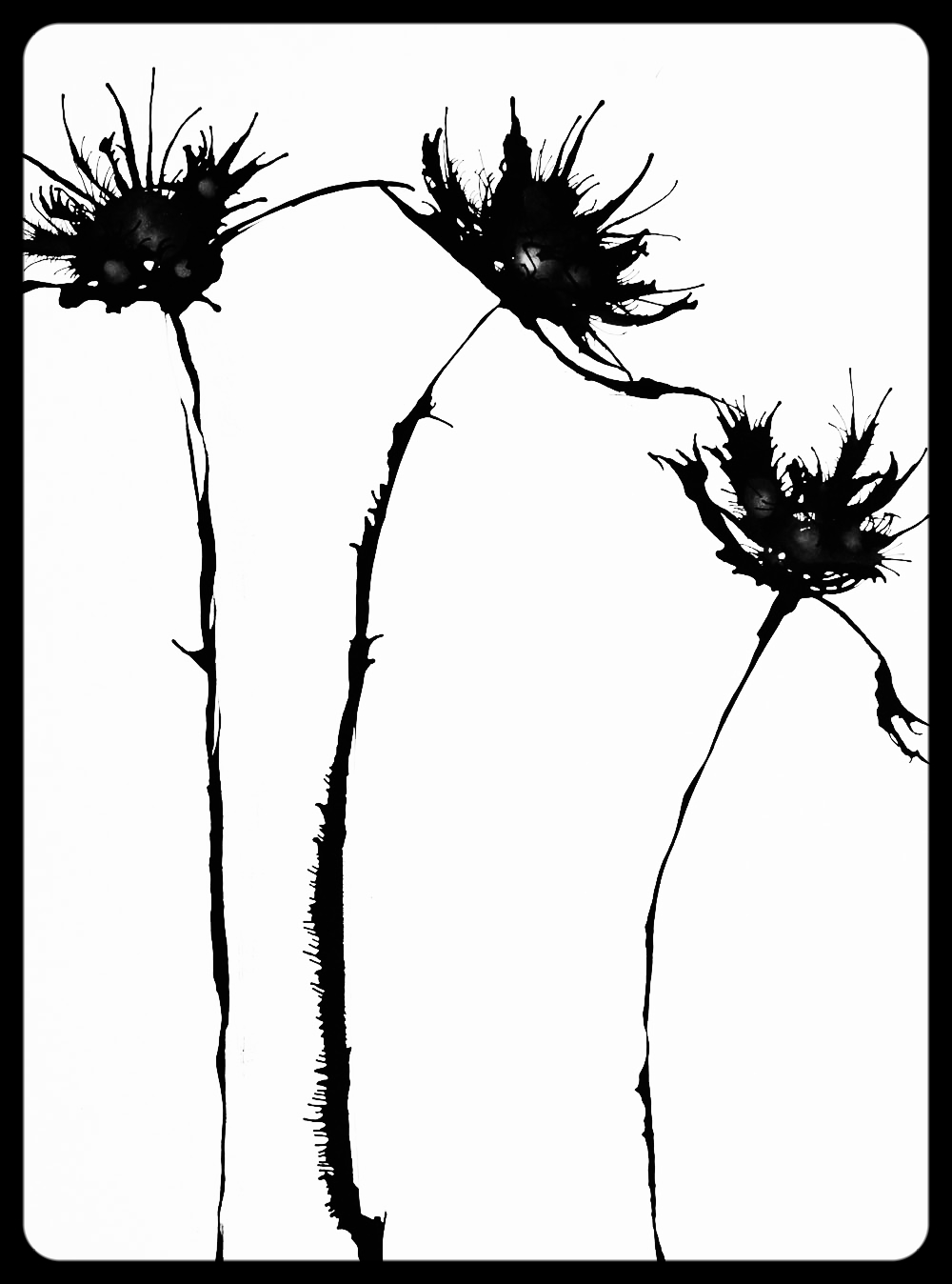 #57 Beauty *SOLD* (30x40")
