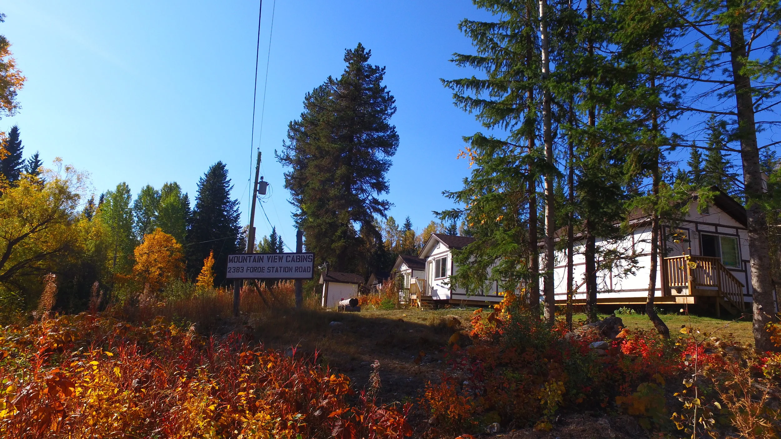 Fall colours at the cabins.