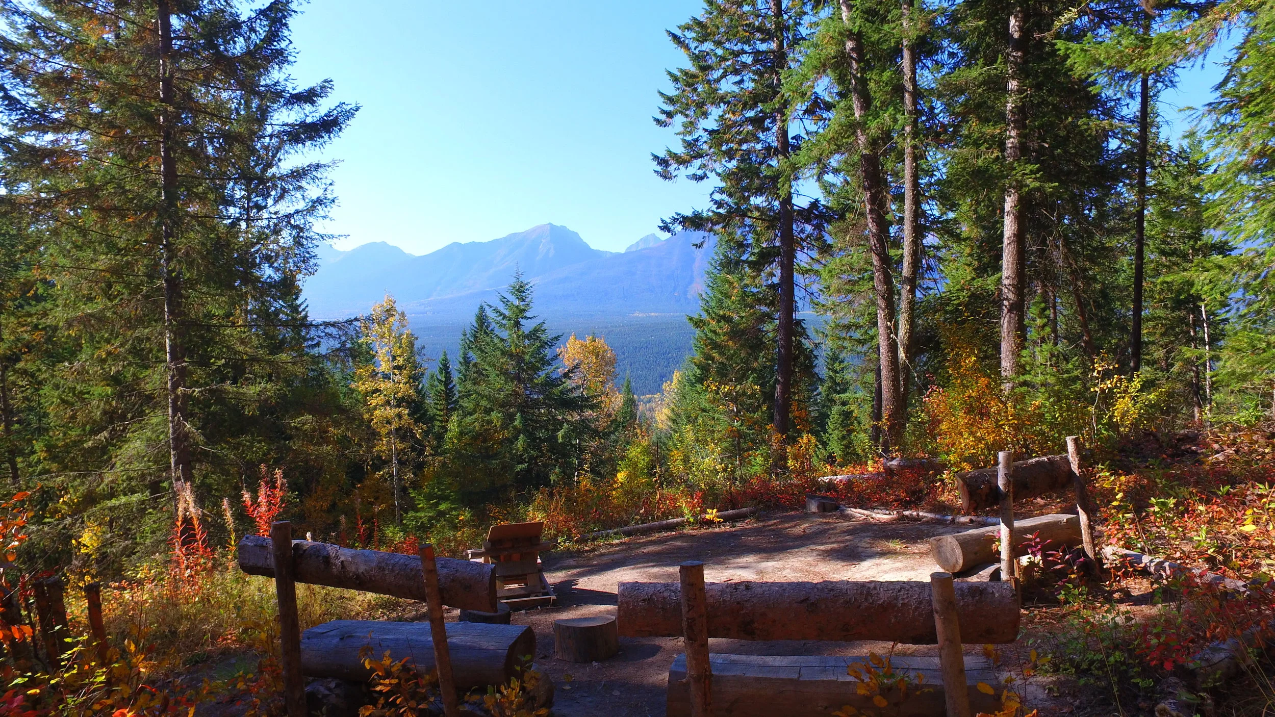Fall colours at the Viewpoint