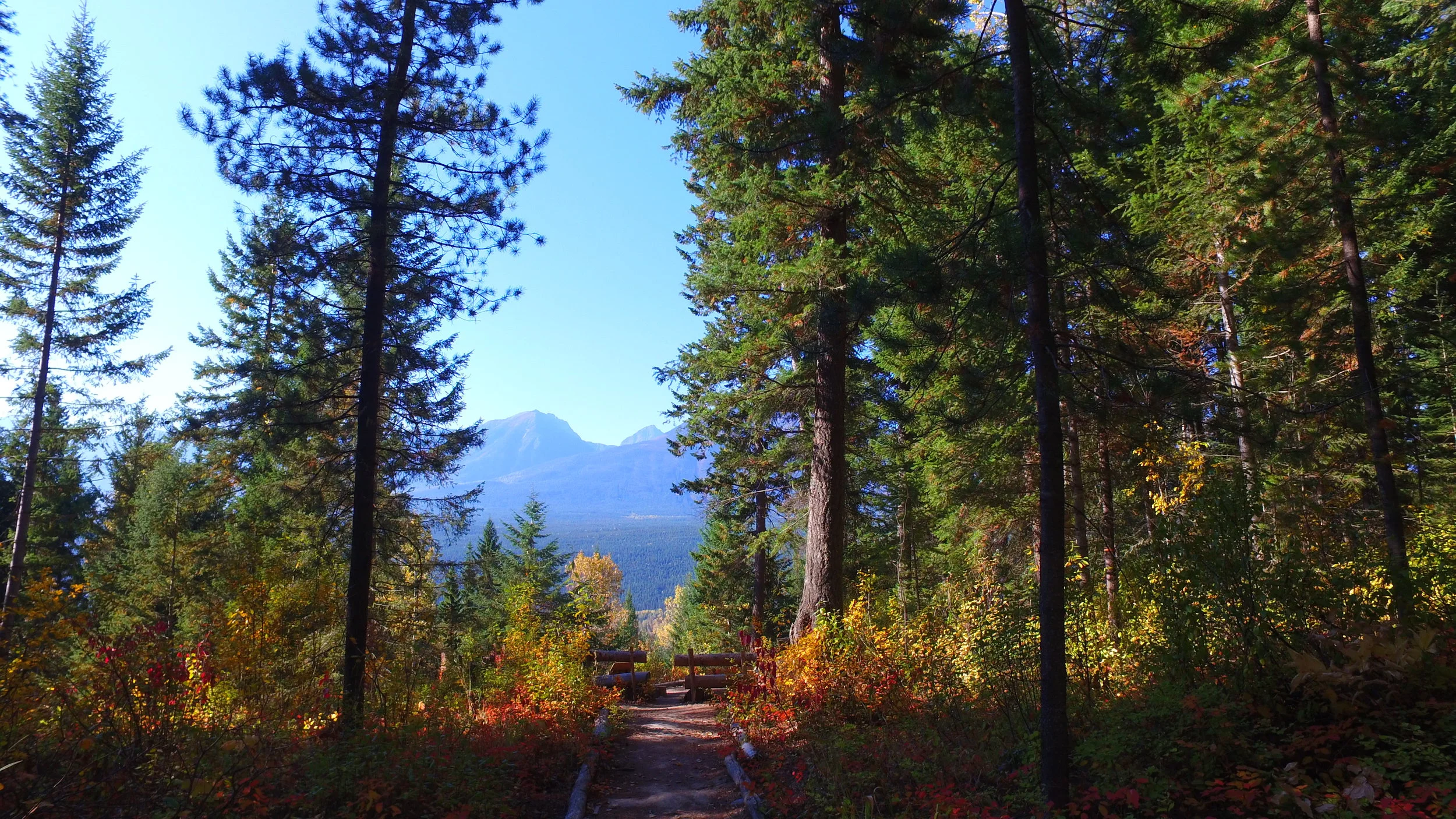 Trail to the Viewoint