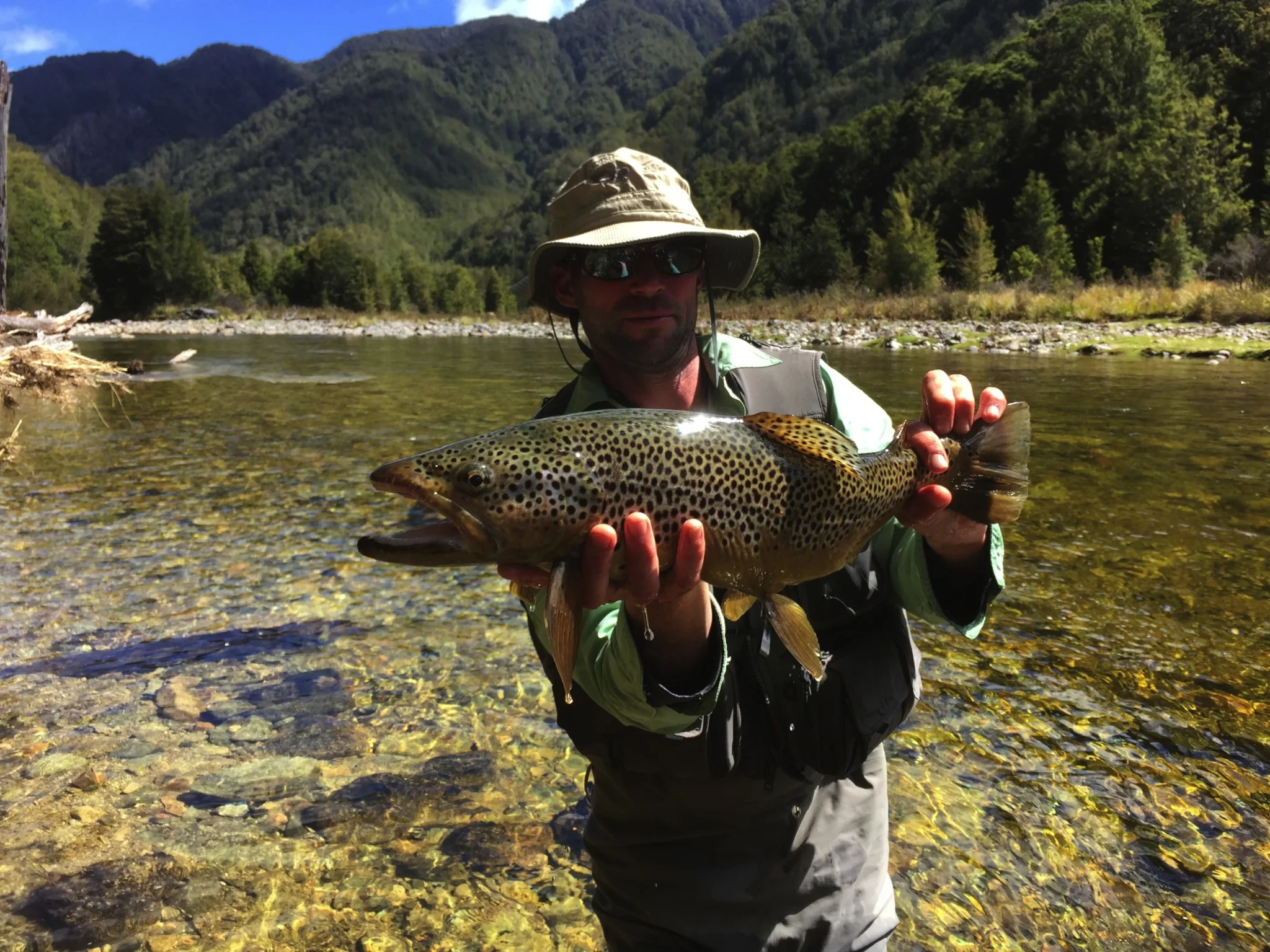 IMG_0317 Resized.jpg