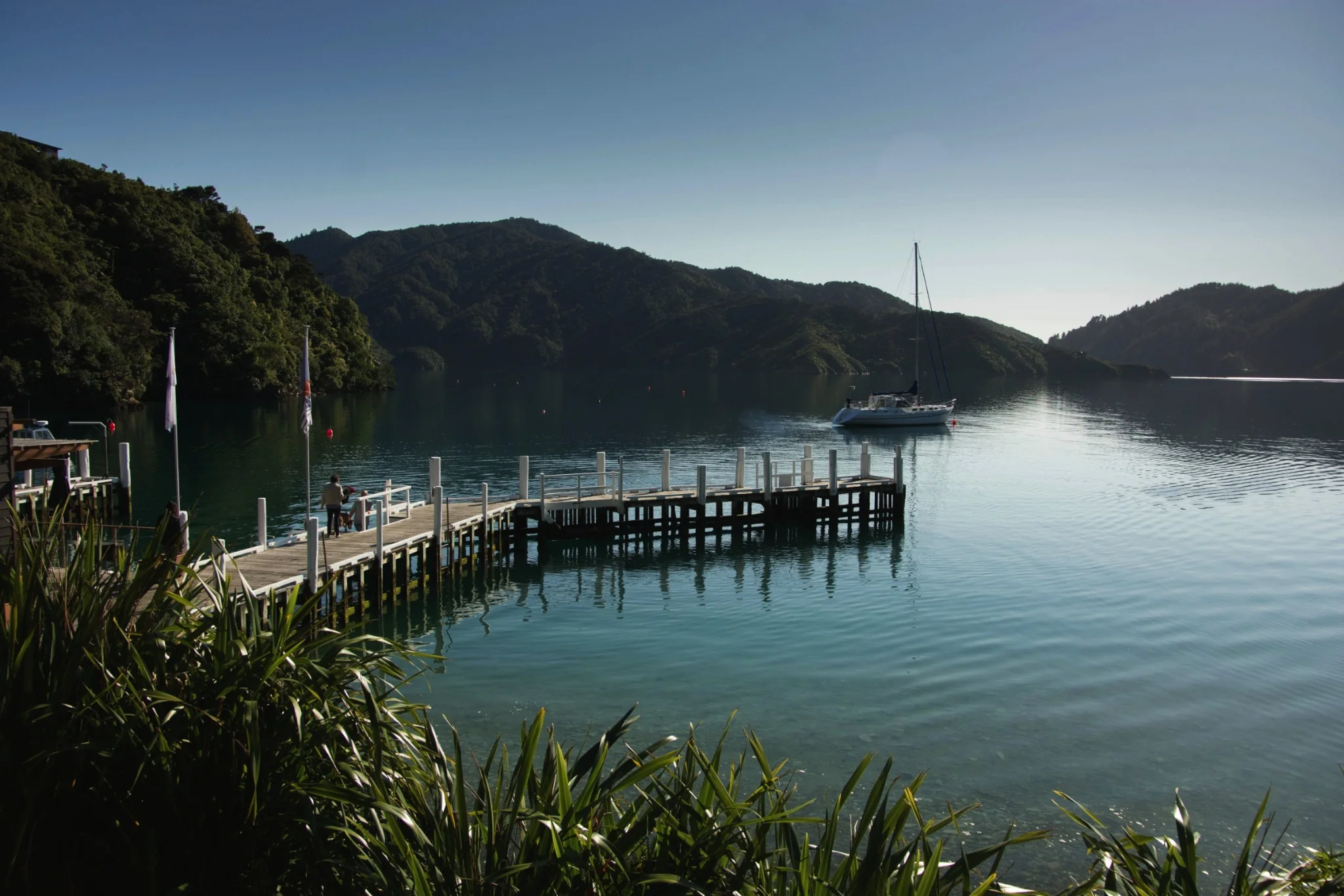 Marlborough sounds heli lunch