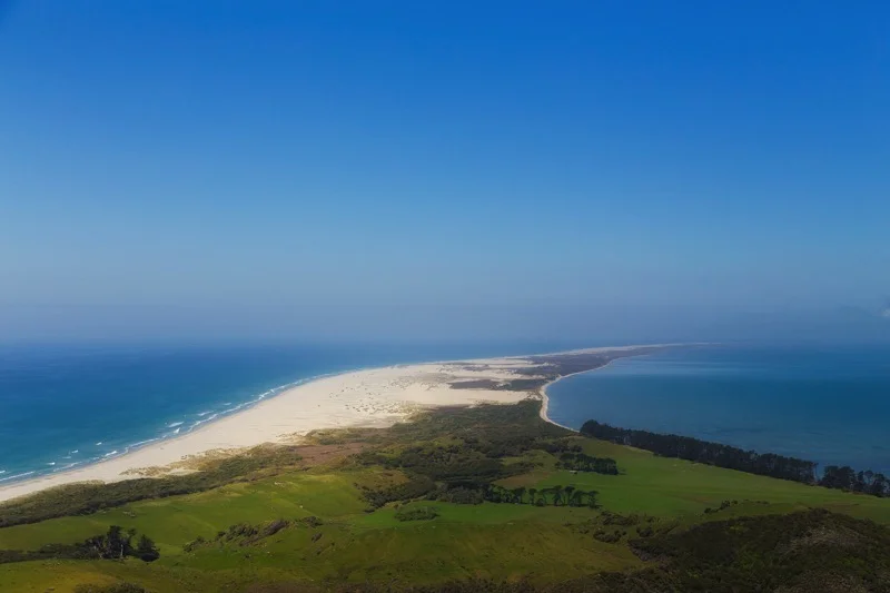 Top of the South 2 Resized.jpg