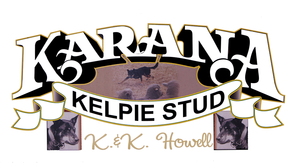 Karana Kelpie Stud