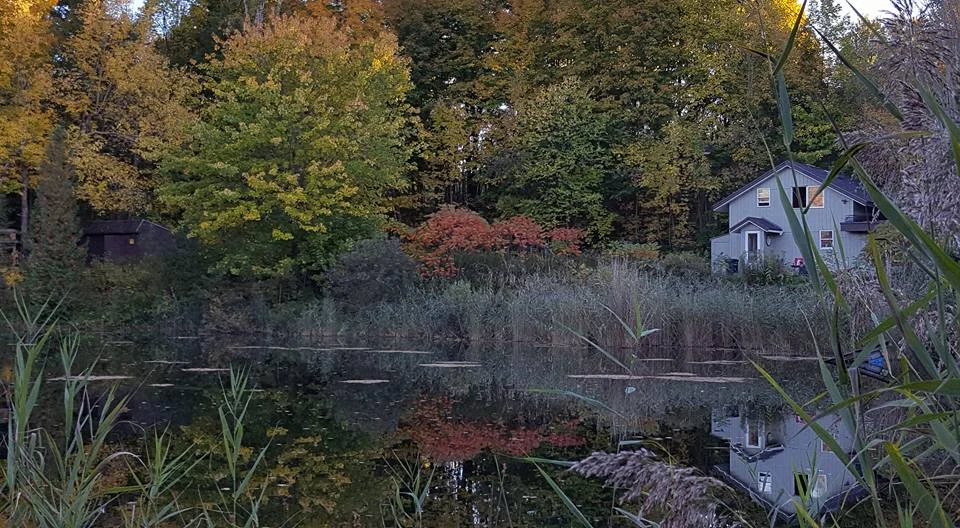 Healing Waters Sanctuary pond view.jpg