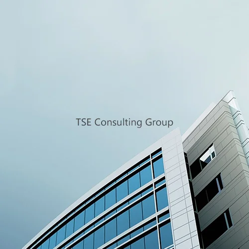 tse.jpg