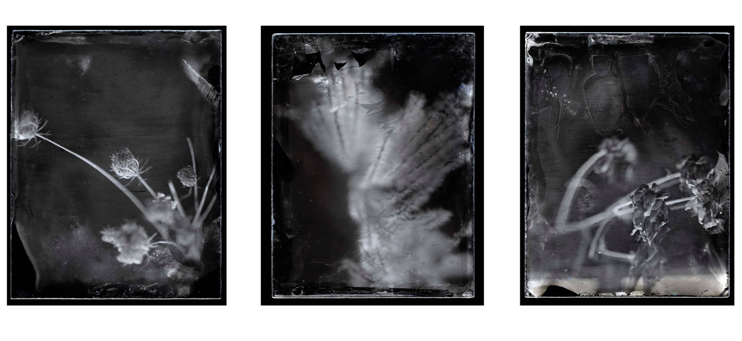 Triptych