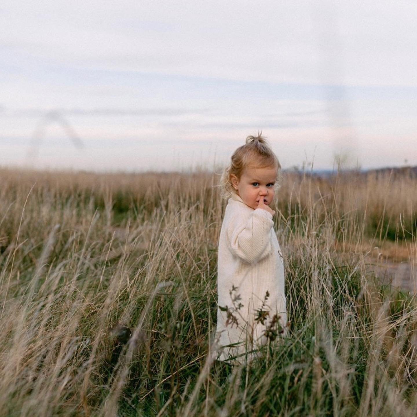 fall sessions that aren&rsquo;t orange 🌾