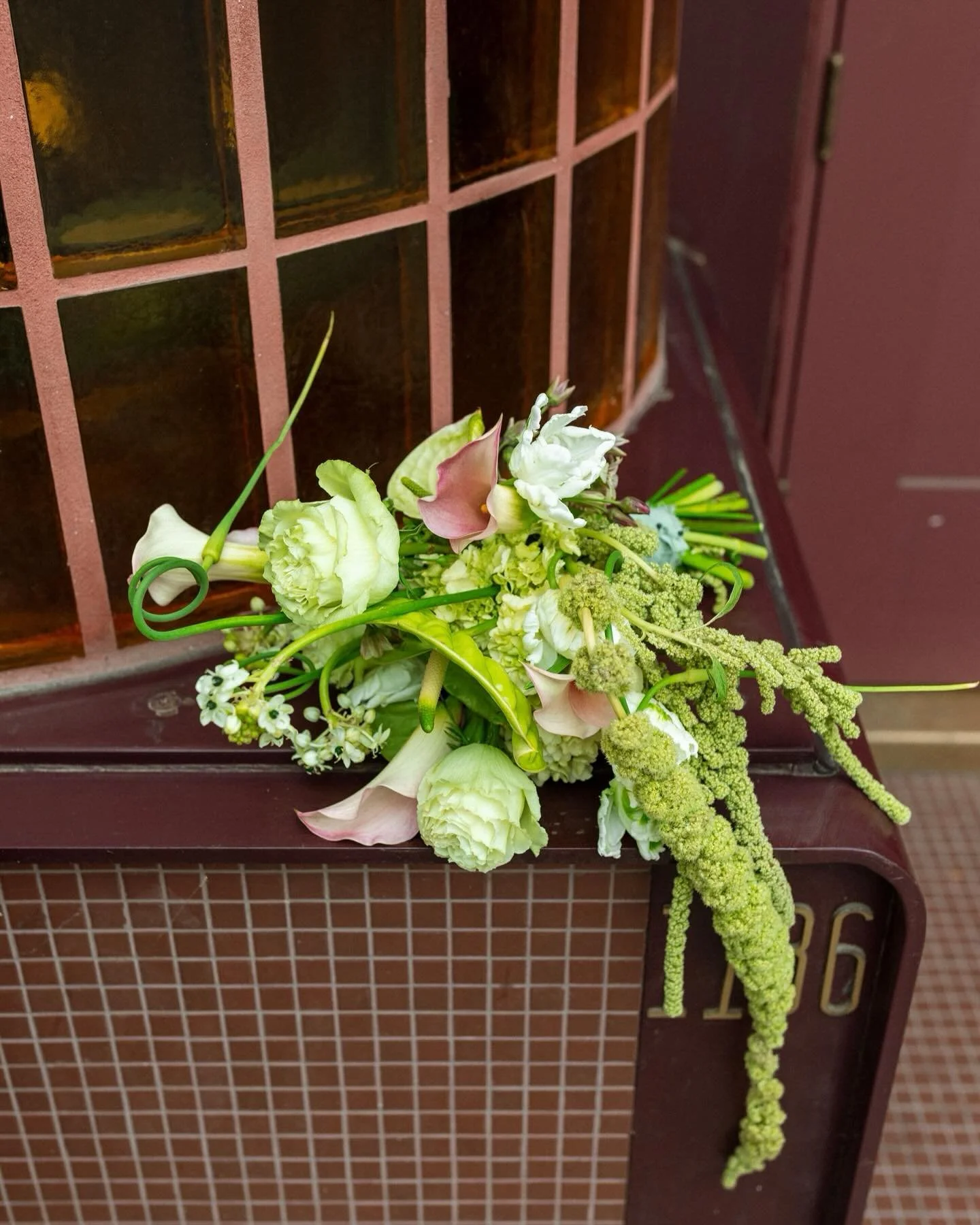 Tibeb + Tune ~ part 1. The Drake ❤️&zwj;🔥