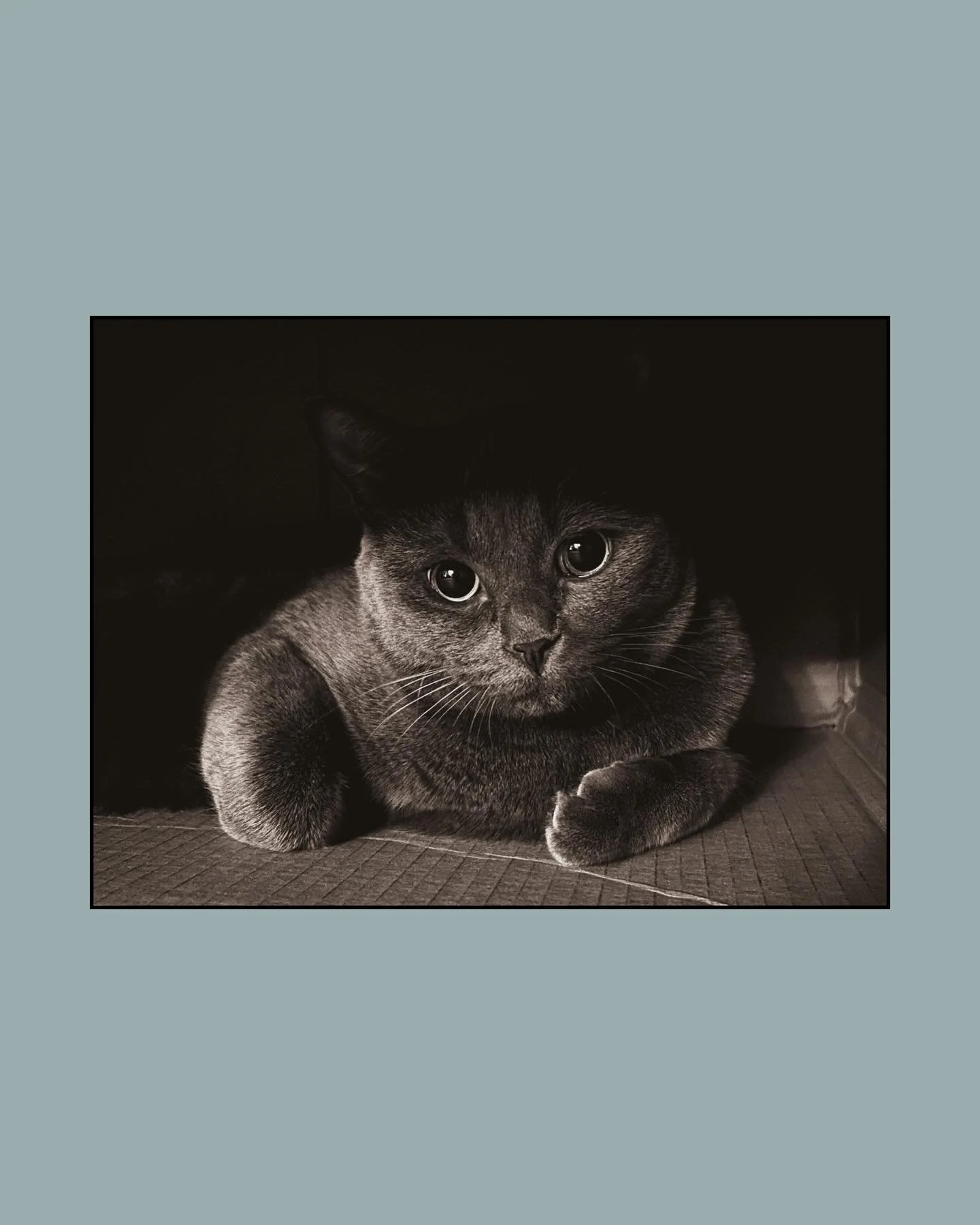 the boy is 1 🎈(swipe for birthday party 😹 @wademuir)