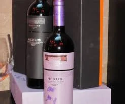 Frontaura 10 años buscando el estilo  