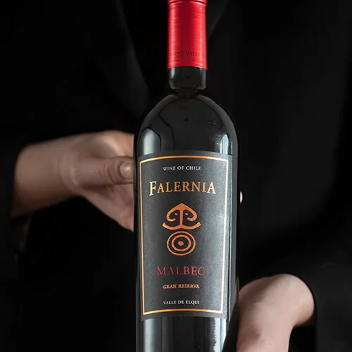 Falernia Malbec VVE-FM004.jpg