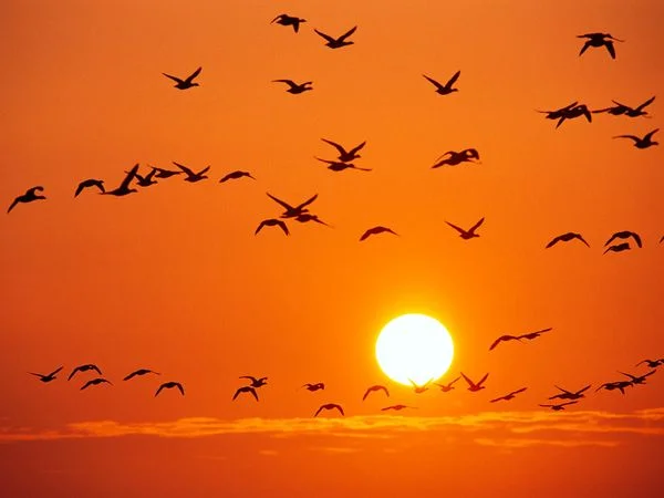 YOU ARE STRONGER THAN YOU THINK