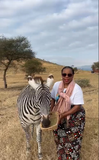 Zebra1.PNG