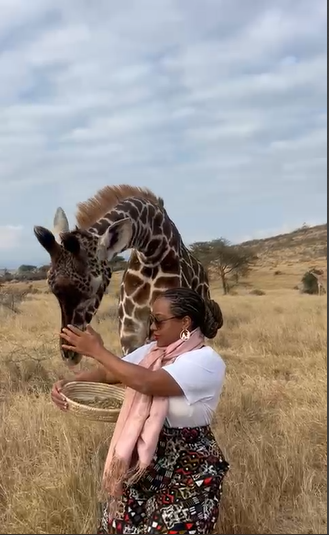 girrafe.PNG