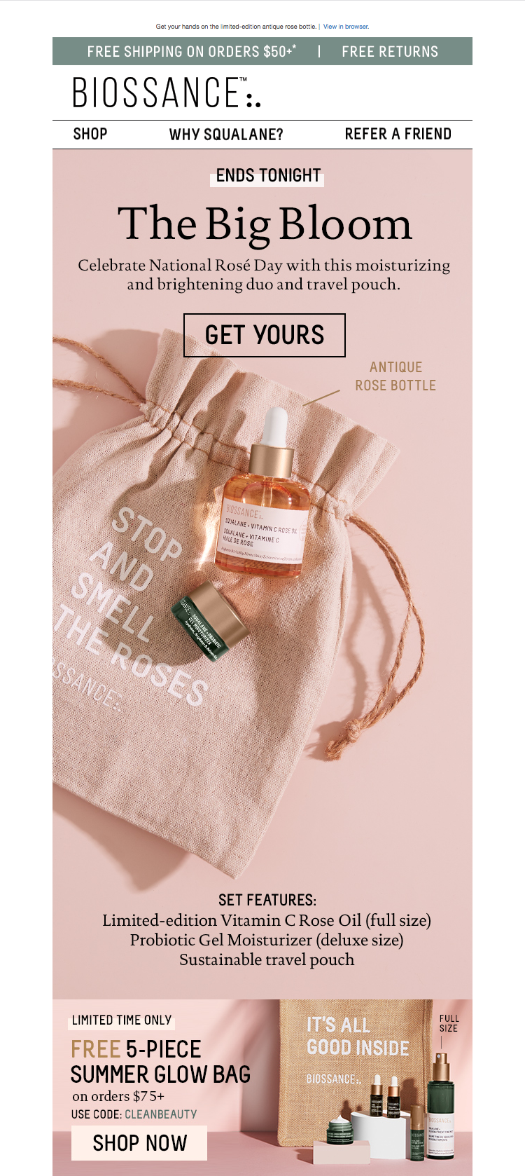 060919_TheBigBloom.png