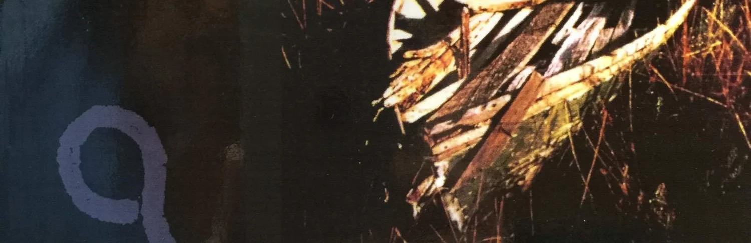 Seeking the hook cover.JPG