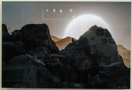 "Bird on Rock Art" original photo on acrylic by A O Tucker - $395 (24" x 16")