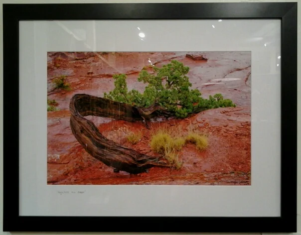 "Against All Odds" original photograph by Wayne Johnson - $295 (26" x 20")