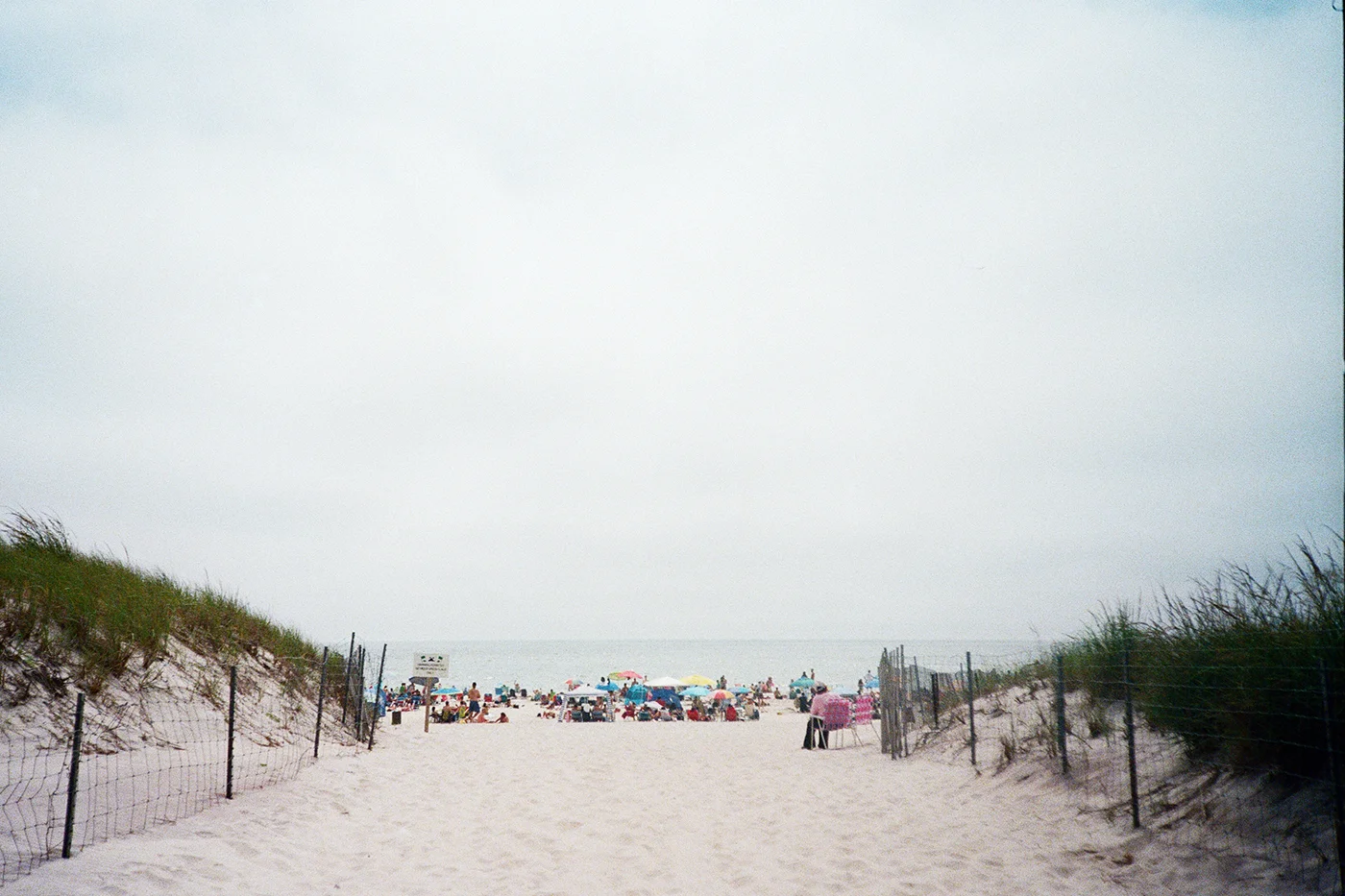 Ocean, I see you!