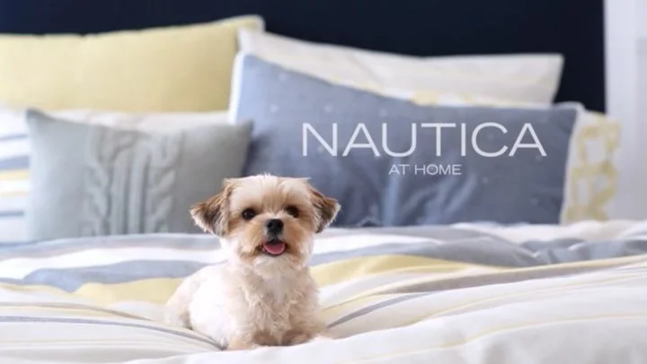 I&rsquo;ve worked on one hundred thousand million sets, and sometimes Ninja would join as well. When he was 2 years old his little face was blitzed across the NYC subway and taxi tvs in this campaign for Nautica Home. Now he&rsquo;s 13 and still as c