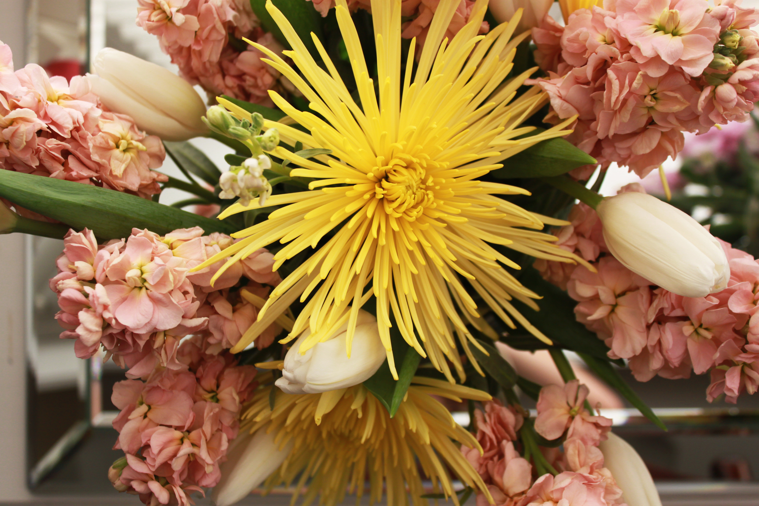 Flowers.jpg