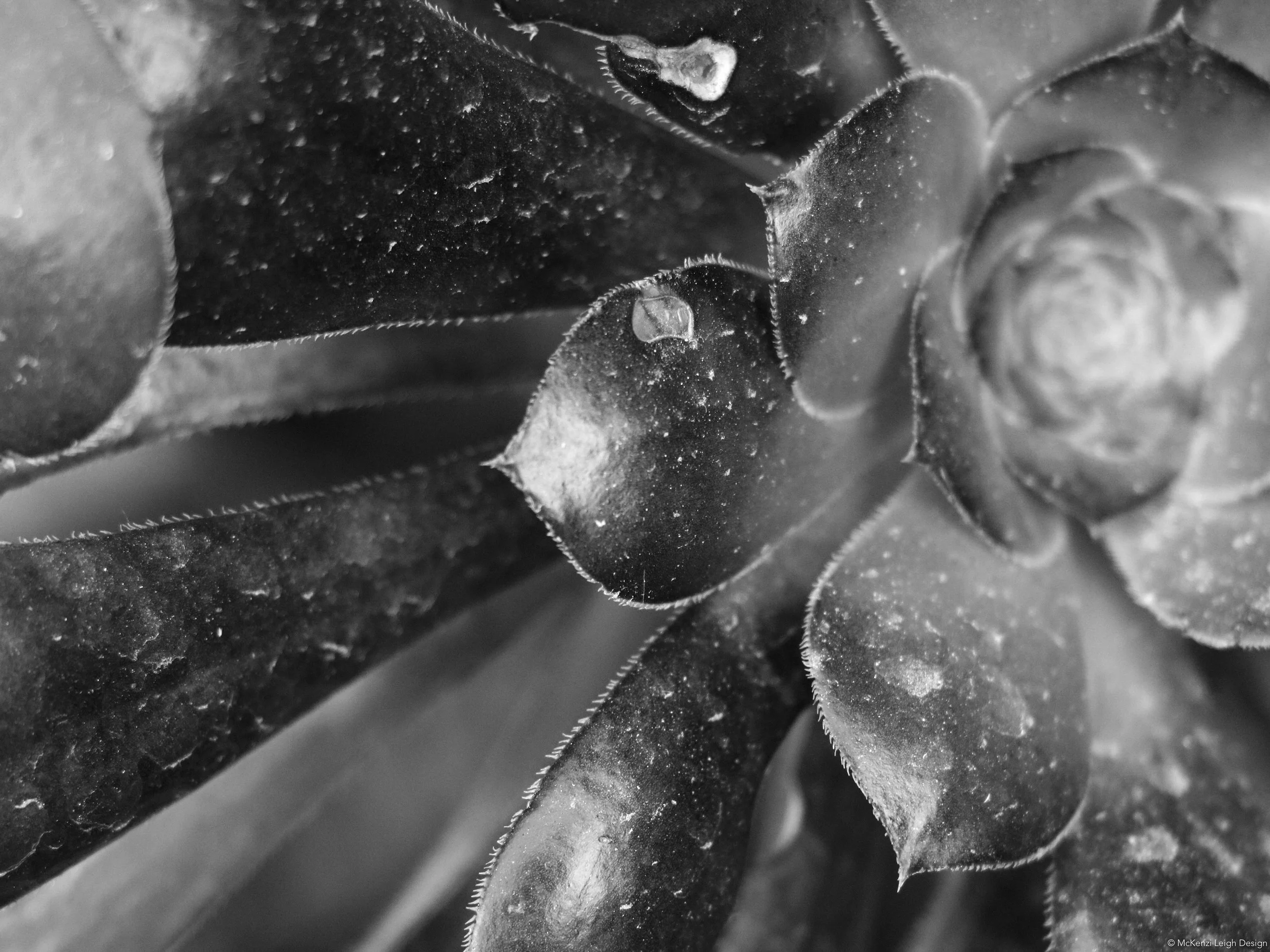 Abstract_Crase3.jpg