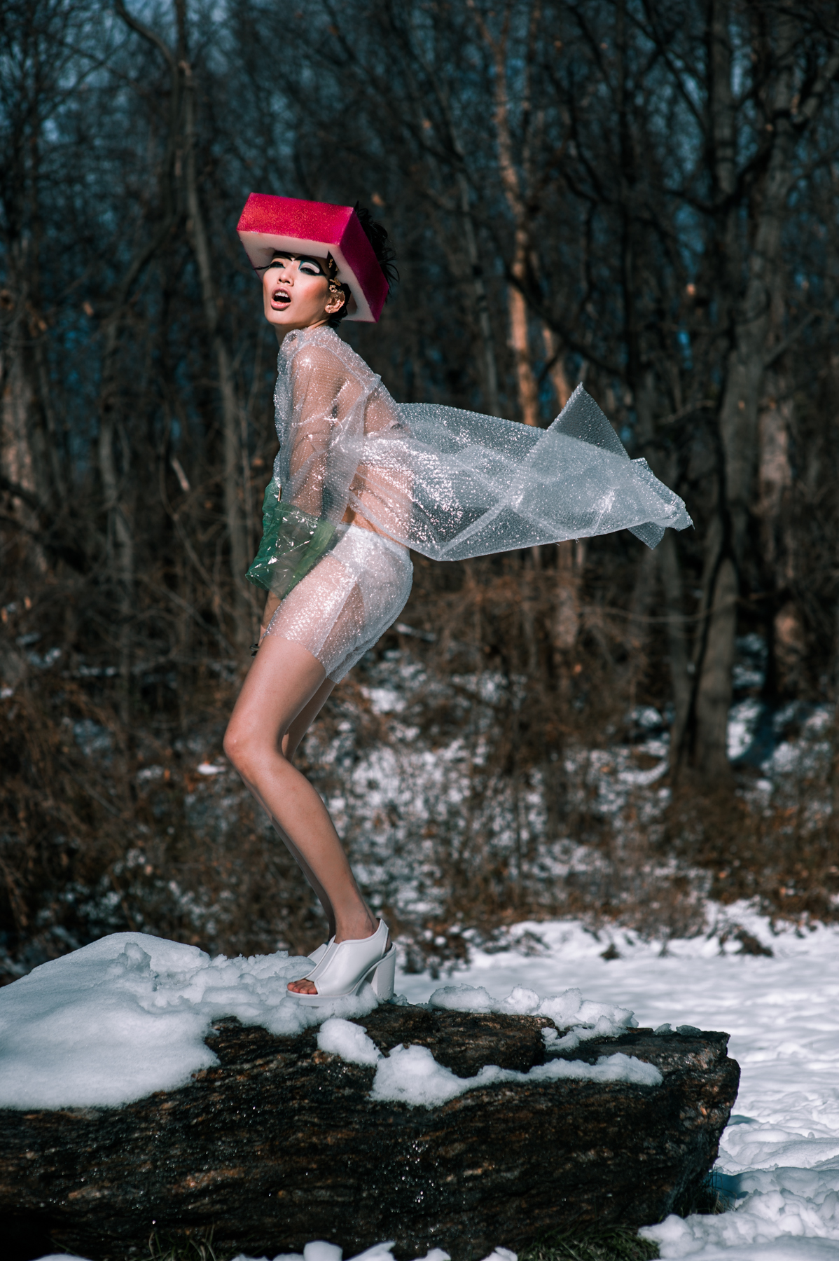 DSC_1071.jpg