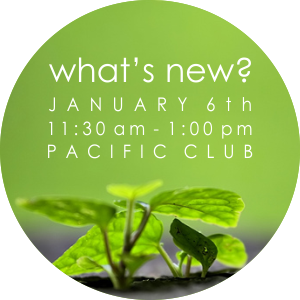 Vital Connections: What's New?