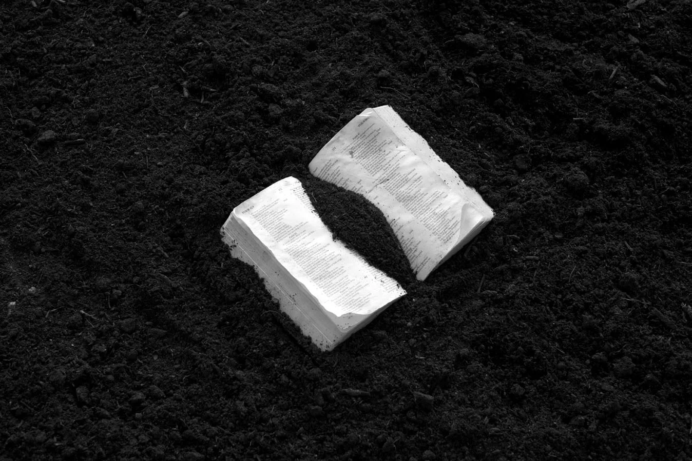 ICONOLOGY. 2012. Handbuilt porcelain, wood, gesso, acrylic paint, soil, a sacred book. Dimensions variable