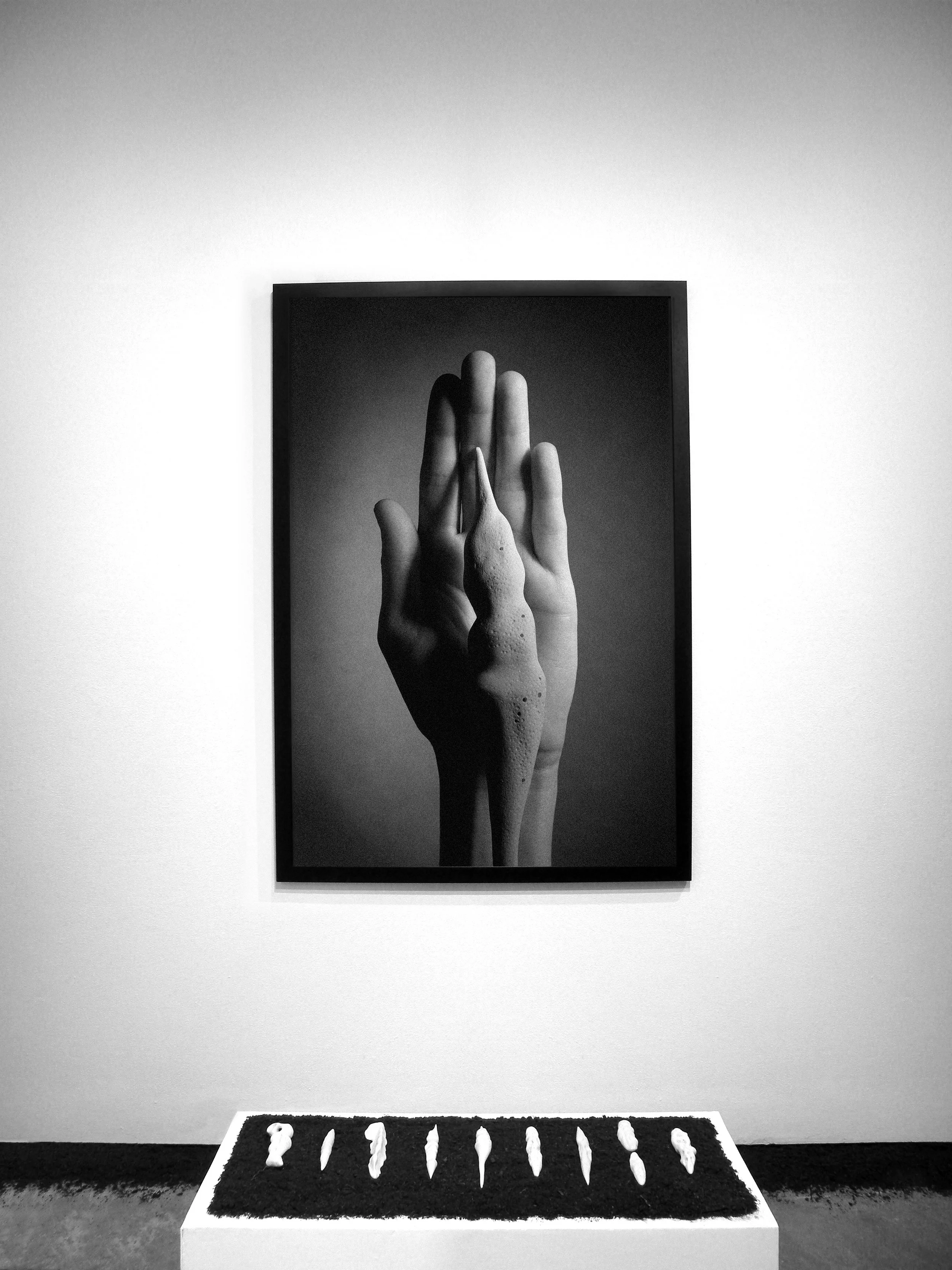 VESTIGE. 2012. Black and White photograph. White clay and porcelain over a layer of soil. Dimensions variable. View of ON PURPOSE Group Exhibition. BRIC Rotunda Gallery. Brooklyn, New York. November 17, 2012