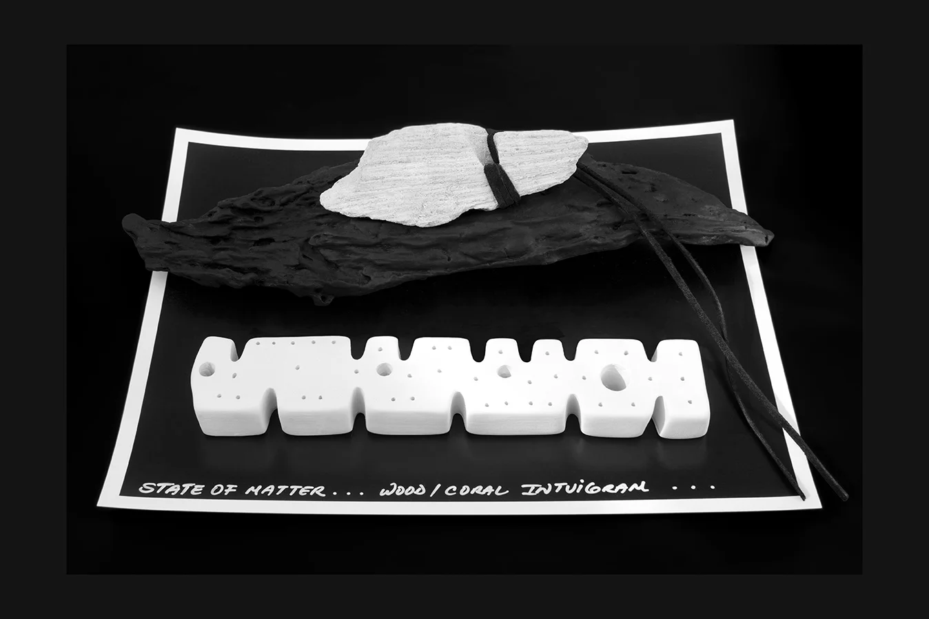 INTUIGRAMS (S.O.M. Coral and Driftwood Intuigram). 2013. Coral, driftwood, porcelain, suede cord. Dimensions variable