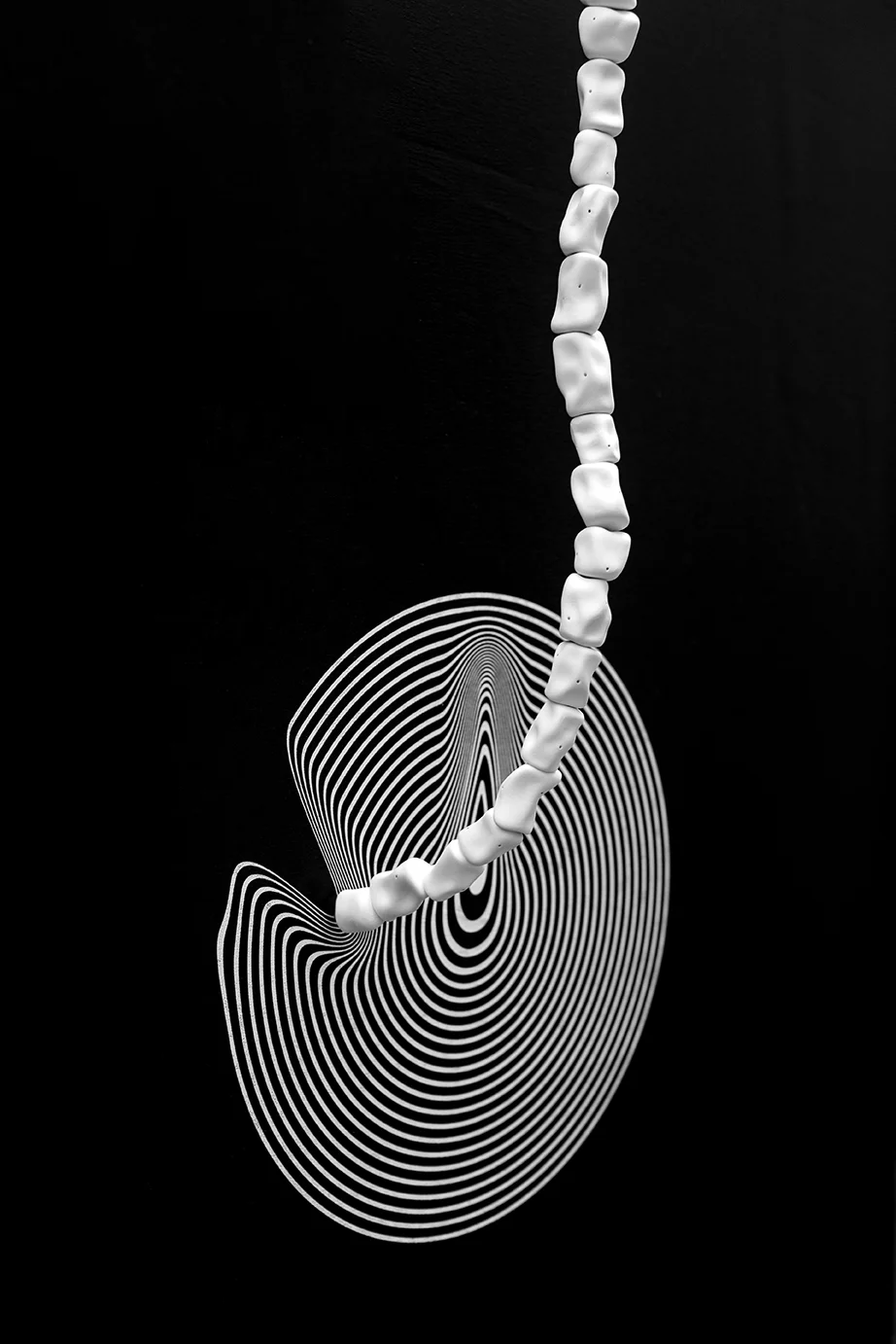 S.O.M / Concentric Circles. 2014. Silkscreen on black canvas, porcelain, transparent thread. 103 1/4 x 45 x 8 in