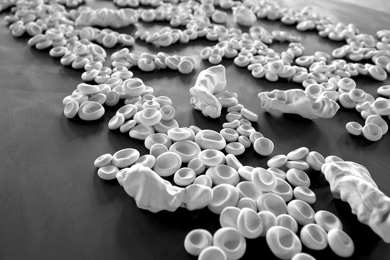 OFRENDA. 2013. Unfired porcelain clay, steel plate. 72 x 48 in 