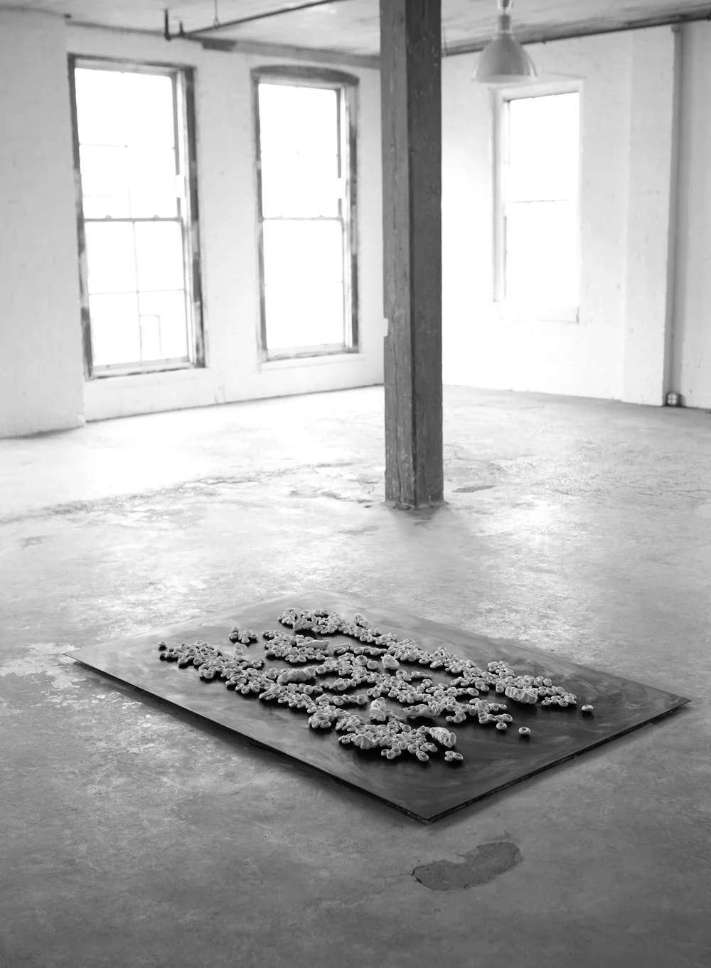 OFRENDA. 2013. Unfired porcelain clay, steel plate. 72 x 48 in. View of the exhibition WorkSpace. Invisible Dog Art Center Gallery. Brooklyn, New York. March 9, 2013