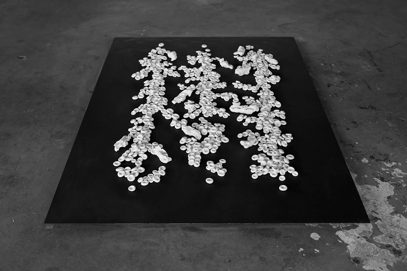 OFRENDA. 2013. Unfired porcelain clay, steel plate. 72 x 48 in 